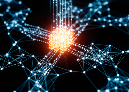 Digital technology network